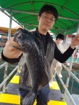 아쿠아좌대 바다낚시조황 > 당진 6월10일조황 : 낚시사랑