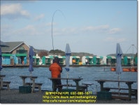 말봉바다낚시터 바다낚시조황 > 2021년 12월1일(수) 노지 조황사진입니다 : 낚시사랑