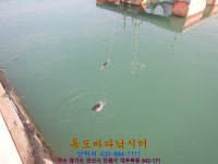 독도바다낚시터 바다낚시조황 > 1월27일미니노지조황(1) : 낚시사랑