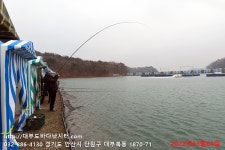 대부도바다낚시터 바다낚시조황 > 2022년 3월 4일 금요일 우럭 조황 : 낚시사랑