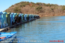 대부도바다낚시터 바다낚시조황 > 2022년 3월 6일 일요일 우럭 랍스타 민물장어 조황 : 낚시사랑