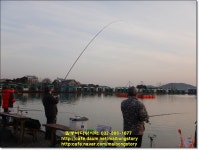 말봉바다낚시터 바다낚시조황 > 2022년 3월7일(월) 노지 조황사진입니다. : 낚시사랑