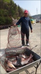 서울바다낚시터 바다낚시조황 > 2022년 4월 19일(화요일) 조황사진 입니다 : 낚시사랑