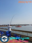 천혜바다 바다낚시조황 > 낚시터 04월 19일 화요일조황 : 낚시사랑