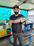도비도바람 바다낚시조황 > 5/15 도비도 부흥호좌대 조황 : 낚시사랑