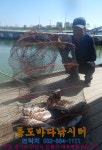독도바다낚시터 바다낚시조황 > 5월26일 노지 조황 : 낚시사랑