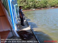 대부도바다낚시터 바다낚시조황 > [돌돔이벤트안내] 2022년 5월 26일 목요일 민어 참돔 돗돔 병어돔 점성어등 조황 : 낚시사랑