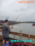 천혜바다 바다낚시조황 > 낚시터 8월 7일 일요일조황 : 낚시사랑