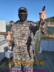 아쿠아좌대 바다낚시조황 > 충남 당진 아쿠아 바다 좌대 낚시터 11월 11일 조황 정보 : 낚시사랑  아쿠아좌대 바다낚시조황 > 충남 당진 아쿠아... 
