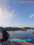 천혜바다낚시터 바다낚시조황 > 12월 6일 화요일조황 : 낚시사랑