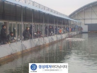 정성미니바다터 바다낚시조황 > 정성미니낚시터 12월 10일(개장일) 조황 : 낚시사랑