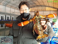 황산초지사계절바다낚시터 바다낚시조황 > [강화] 황산초지 사계절 바다낚시터 12월16일조황사진 : 낚시사랑