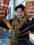 후크선장 바다낚시조황 > 수요일조항 : 낚시사랑  후크선장 바다낚시조황 > 수요일조항 : 낚시사랑
