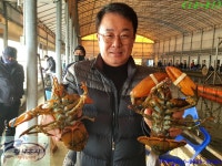 황산초지사계절바다낚시터 바다낚시조황 > [강화] 황산초지 사계절 바다낚시터 12월31일조황사진 : 낚시사랑