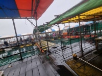 아쿠아좌대 바다낚시조황 > 당진낚시 1월 14일 조황 : 낚시사랑