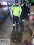 황산초지사계절바다낚시터 바다낚시조황 > [강화] 황산초지 사계절 바다낚시터 01월16일조황사진 : 낚시사랑