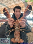 황산초지사계절바다낚시터 바다낚시조황 > [강화] 황산초지 사계절 바다낚시터 01월23일조황사진 : 낚시사랑