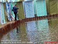 대부도바다낚시터 바다낚시조황 > 2023년 4월 21일 금요일 능성어 참돔 돗돔 우럭 점성어등 조황 및 22(토) 돌돔 추가방류 : 낚시사랑..