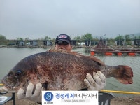 정성바다낚시터 바다낚시조황 > 5월 5일(금) 조황 : 낚시사랑