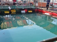 아쿠아좌대 바다낚시조황 > 당진 5월 8일 조황 : 낚시사랑