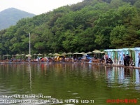 대부도바다낚시터 바다낚시조황 > 2023년 5월 29일 월요일 능성어 돌돔 참돔 돗돔 병어돔 점성어등 조황 : 낚시사랑