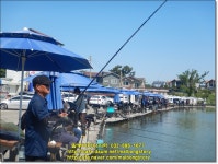 말봉바다낚시터 바다낚시조황 > 2023년6월3일(토) 조황사진입니다. : 낚시사랑  말봉바다낚시터 바다낚시조황 > 2023년6월3일(토)... 