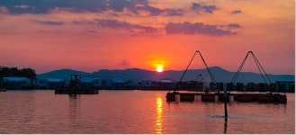 말봉바다낚시터 바다낚시조황 > 2023년6월6일(화) 조황사진입니다. : 낚시사랑