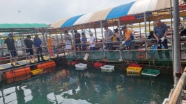 아쿠아좌대 바다낚시조황 > 당진 8월 6일 조황 : 낚시사랑