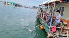 아쿠아좌대 바다낚시조황 > 당진 9월3일 조황 : 낚시사랑