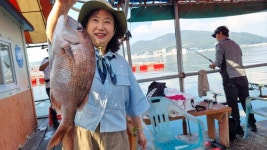 아쿠아좌대 바다낚시조황 > 당진 9월 9일 조황 : 낚시사랑