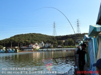 대부도바다낚시터 바다낚시조황 > 2023년 9월 22일 금요일 자바리 능성어 참돔등 조황 : 낚시사랑