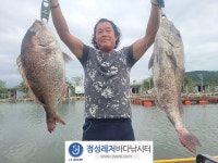 정성바다낚시터 바다낚시조황 > 9월 27일(수) 조황 : 낚시사랑