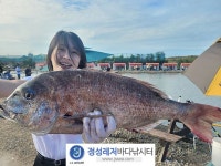 정성바다낚시터 바다낚시조황 > 9월 29일(금) 조황 : 낚시사랑