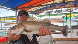 아쿠아좌대 바다낚시조황 > 당진 10월2일 조황 : 낚시사랑