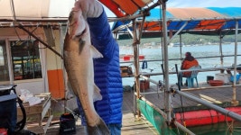 아쿠아좌대 바다낚시조황 > 당진 10월6일 조황 : 낚시사랑  아쿠아좌대 바다낚시조황 > 당진 10월6일 조황 : 낚시사랑