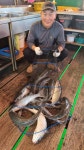 아쿠아좌대 바다낚시조황 > 당진 10월일10조황 : 낚시사랑