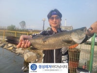 정성바다낚시터 바다낚시조황 > 10월 18일(수) 조황 : 낚시사랑
