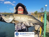 정성바다낚시터 바다낚시조황 > 10월 20일(금) 조황 : 낚시사랑
