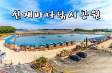 선재낚시공원 바다낚시조황 > 선재바다낚시공원 : 11월04일 조황정보입니다. : 낚시사랑