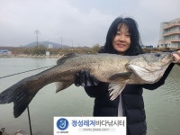 정성바다낚시터 바다낚시조황 > 11월 9일(목) 조황 : 낚시사랑