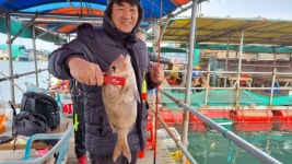 아쿠아좌대 바다낚시조황 > 당진 11월 11일 조황 : 낚시사랑