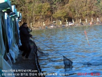 대부도바다낚시터 바다낚시조황 > 2023년 11월 13일 월요일 우럭 참돔 돌돔등 조황 : 낚시사랑