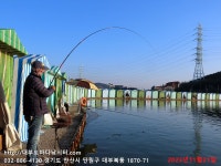 대부도바다낚시터 바다낚시조황 > 2023년 11월 21일 화요일 우럭 참돔 농어등 조황 : 낚시사랑
