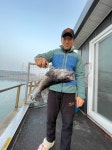 선재낚시공원 바다낚시조황 > 선재바다낚시공원 : 11월23일 조황정보입니다. : 낚시사랑