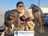 정성바다낚시터 바다낚시조황 > 12월 5일(화) 조황 : 낚시사랑