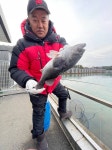 선재낚시공원 바다낚시조황 > 선재바다낚시공원 : 01월06일 조황정보입니다. : 낚시사랑