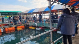 아쿠아좌대 바다낚시조황 > 당진 2월9일 조황 : 낚시사랑