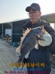 독도바다낚시터 바다낚시조황 > 2월 13일 겨울 노지 조황 : 낚시사랑