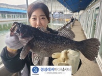 정성미니바다터 바다낚시조황 > 정성미니낚시터 2월 28일(수) 조황 : 낚시사랑