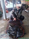 독도바다낚시터 바다낚시조황 > 2월 26일 겨울 노지 조황 : 낚시사랑  독도바다낚시터 바다낚시조황 >  2월 26일 겨울 노지 조황 : 낚시사랑